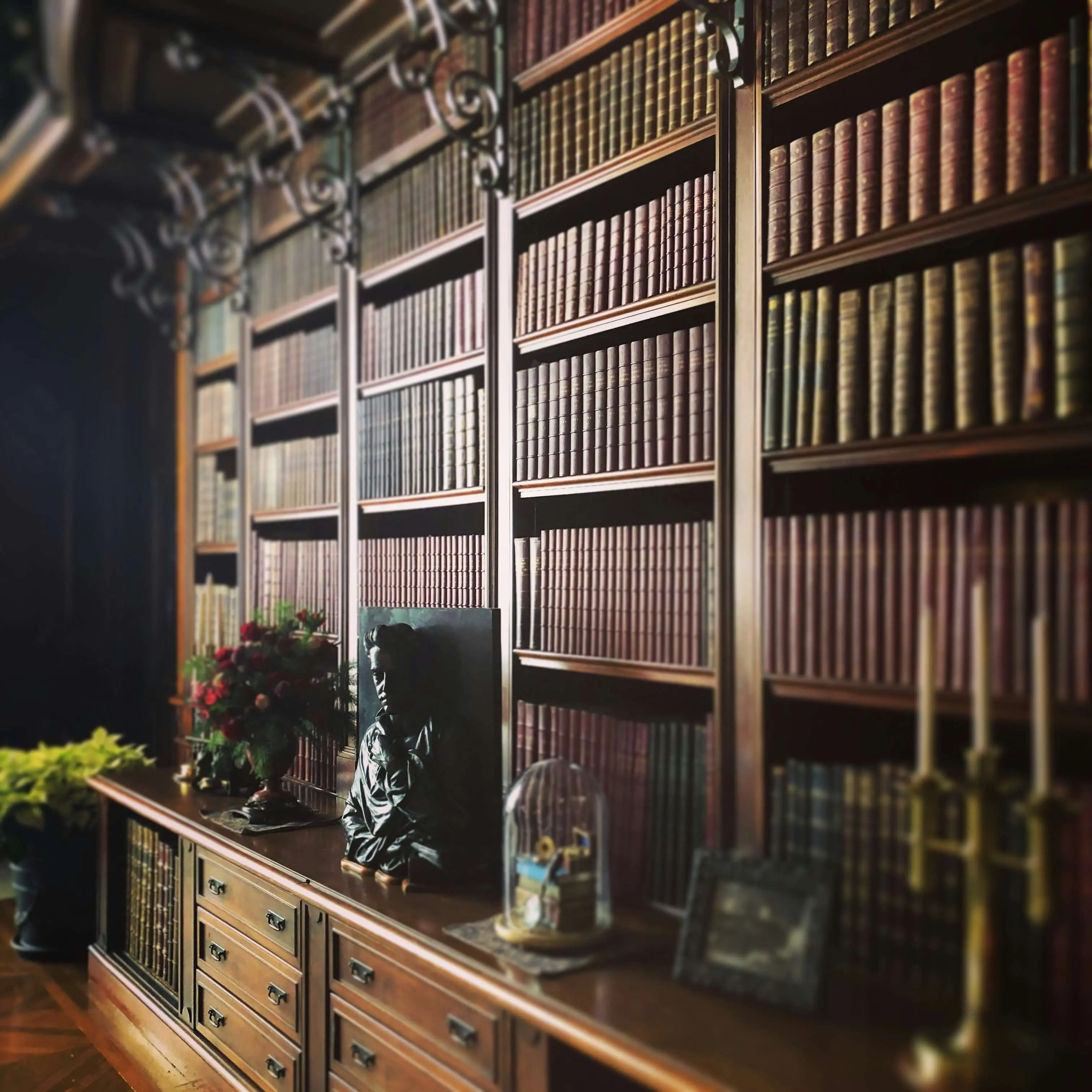 Elegant legal library with wooden bookshelves and leather-bound volumes